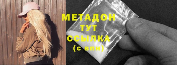 прущие грибы Абаза