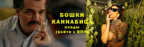 прущие грибы Абаза
