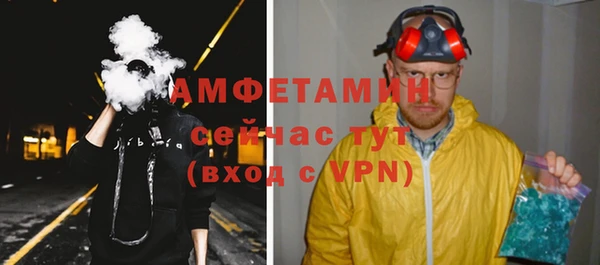 прущие грибы Абаза
