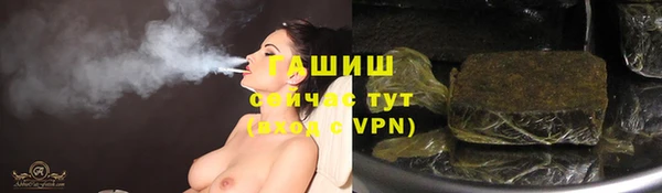 прущие грибы Абаза