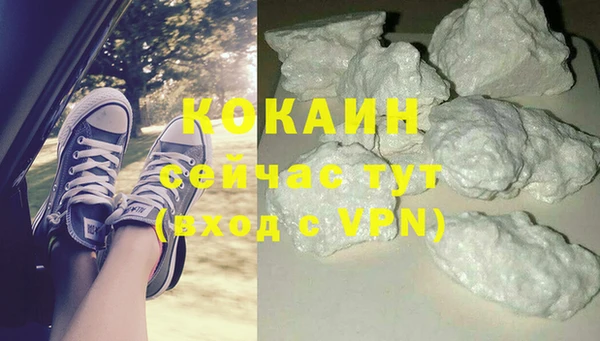 прущие грибы Абаза