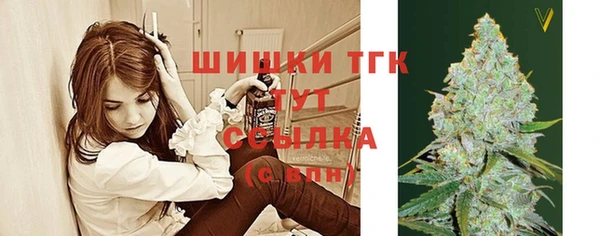 прущие грибы Абаза