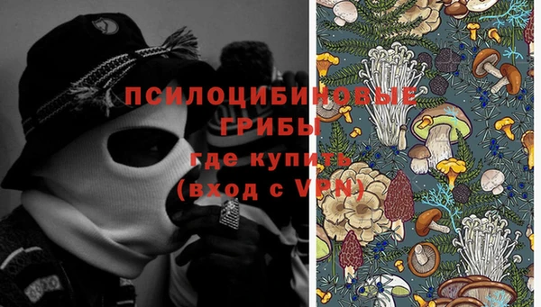синтетический гашиш Алексин