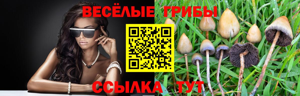 Галлюциногенные грибы прущие грибы  Псилоцибиновые грибы мицелий  дарнет шоп  Салават  Вход с VPN 